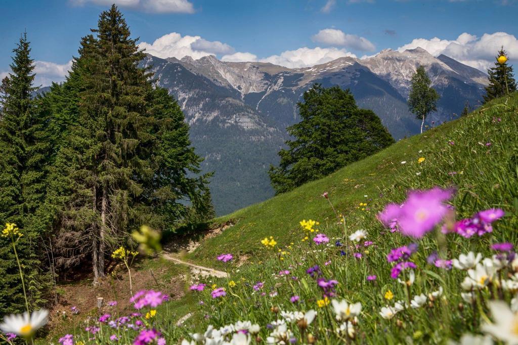 Fewo Lebensfreude Mittenwald Værelse billede